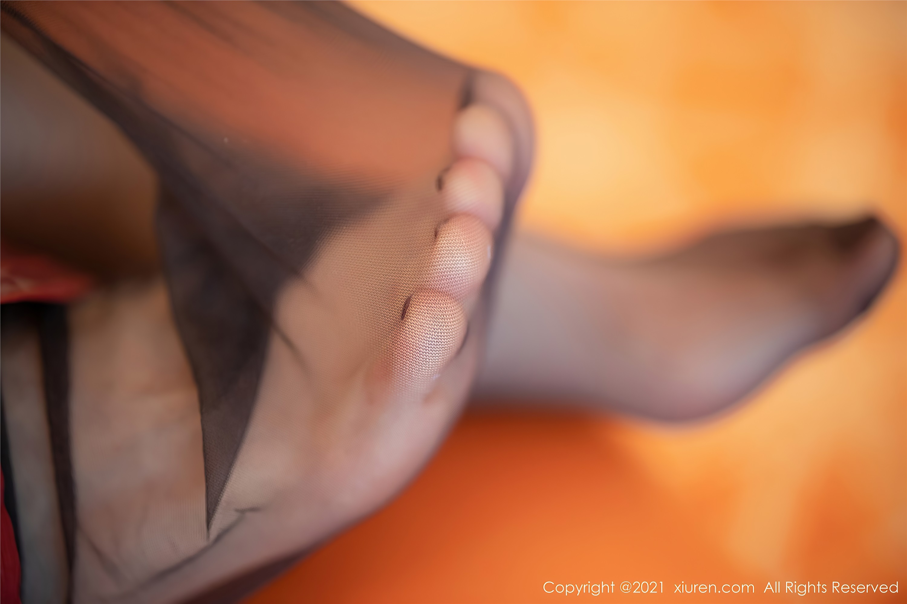 XiuRen秀人网  2021.01.18 No.3015 梦心月